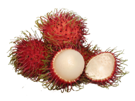 Rambutan